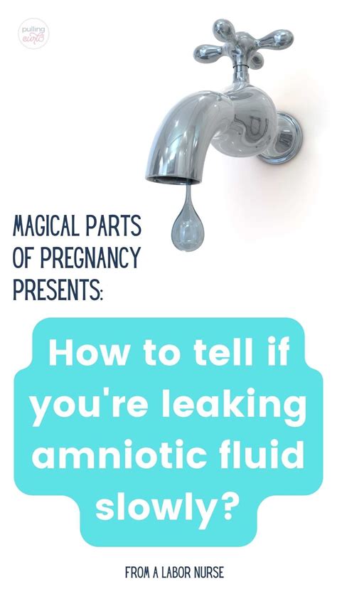 how to know if amniotic fluid is leaking|Rupture of the Membranes: What To Expect When Your Water。